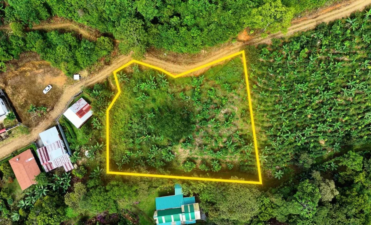 Lot for Sale in Chimirol de Rivas, Pérez Zeledón: 2,313 m² Land with Mountain Views, Pérez Zeledón