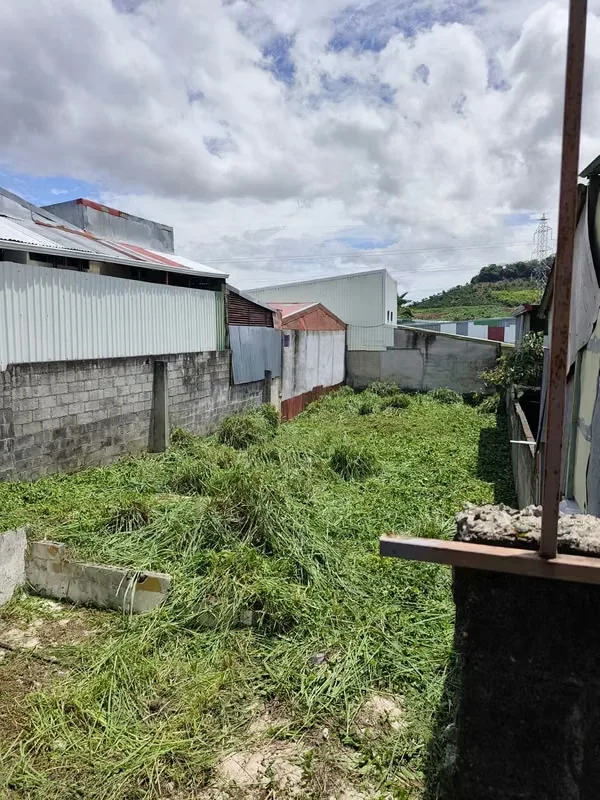 Lote en venta uso de tierra mixto en San Miguel, Desamparados, photo 2