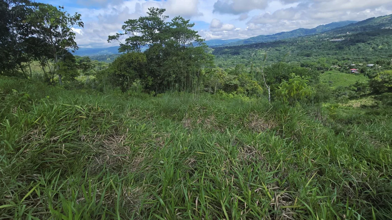 For Sale: A 3.2-Hectare (8-Acre) Natural Retreat in the Foothills of Chirripó, General Viejo, Miraflores, Pérez Zeledón, Costa Rica., photo 12