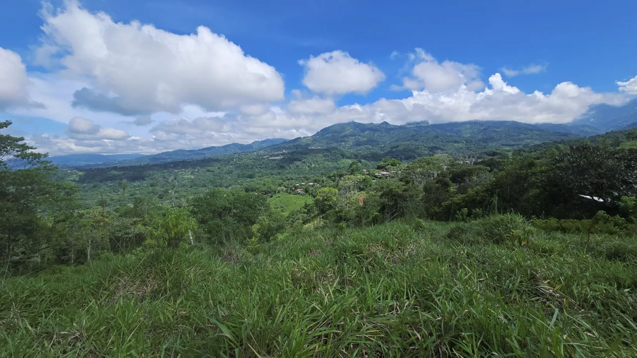 For Sale: A 3.2-Hectare (8-Acre) Natural Retreat in the Foothills of Chirripó, General Viejo, Miraflores, Pérez Zeledón, Costa Rica., photo 13