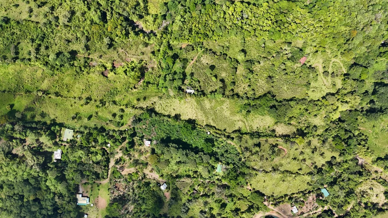 For Sale: A 3.2-Hectare (8-Acre) Natural Retreat in the Foothills of Chirripó, General Viejo, Miraflores, Pérez Zeledón, Costa Rica., photo 15