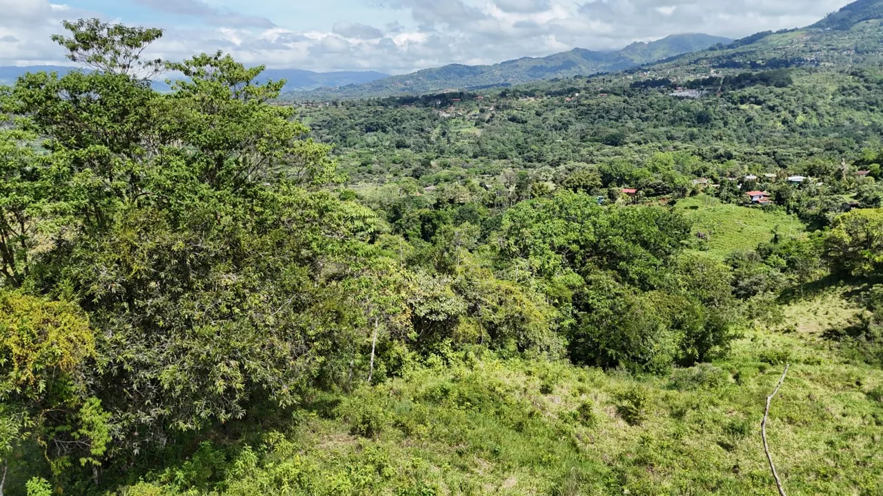 For Sale: A 3.2-Hectare (8-Acre) Natural Retreat in the Foothills of Chirripó, General Viejo, Miraflores, Pérez Zeledón, Costa Rica., photo 6