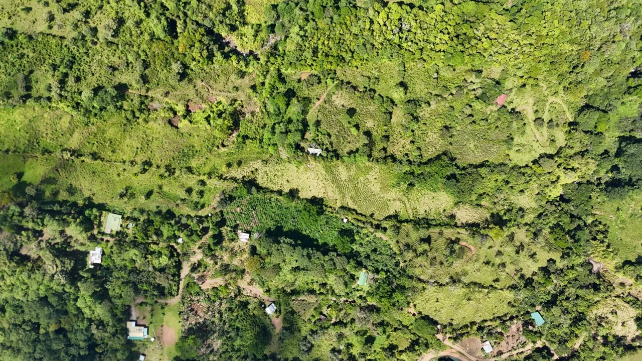 For Sale: A 3.2-Hectare (8-Acre) Natural Retreat in the Foothills of Chirripó, General Viejo, Miraflores, Pérez Zeledón, Costa Rica., photo 7