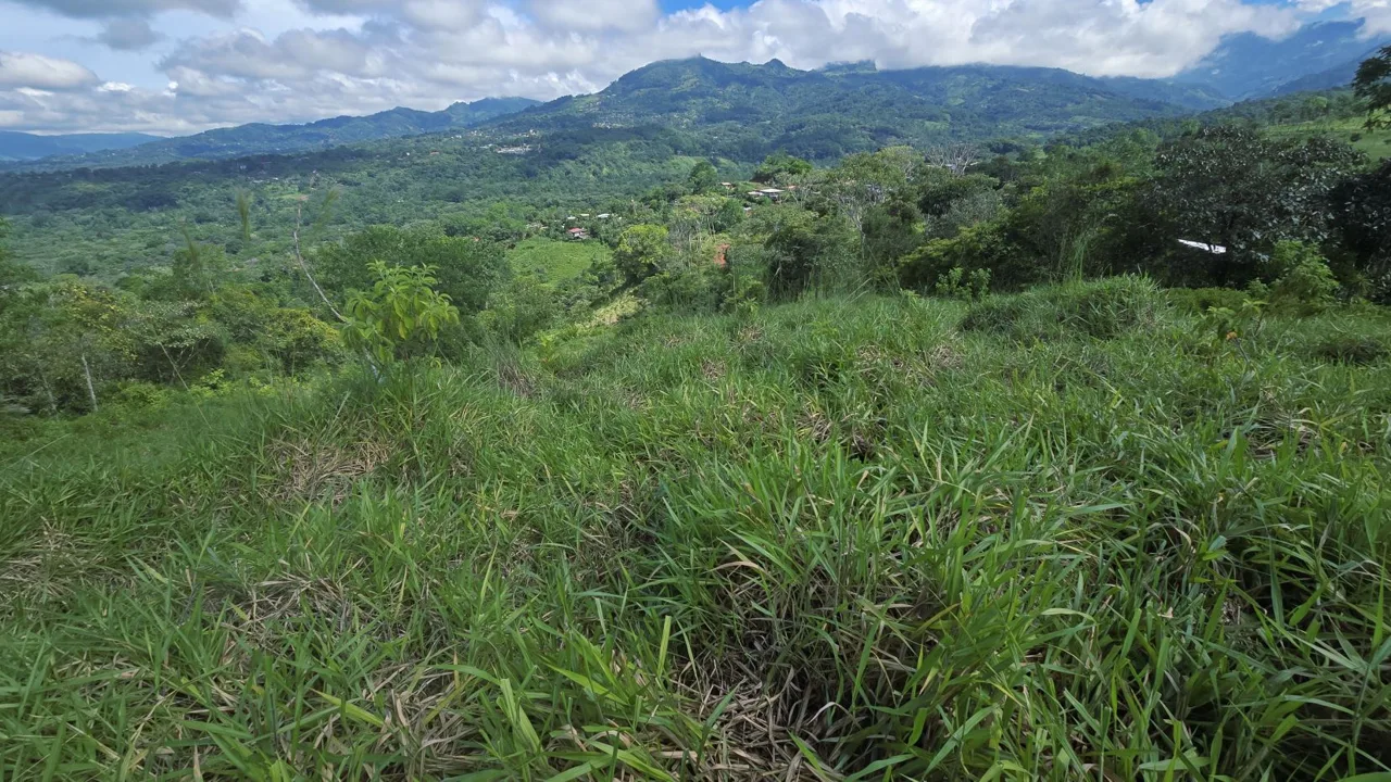 For Sale: A 3.2-Hectare (8-Acre) Natural Retreat in the Foothills of Chirripó, General Viejo, Miraflores, Pérez Zeledón, Costa Rica., photo 10