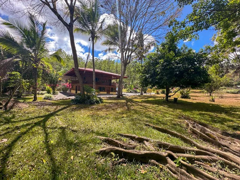 3 Bed Single Family Homes For Sale in Perez Zeledon, photo 6