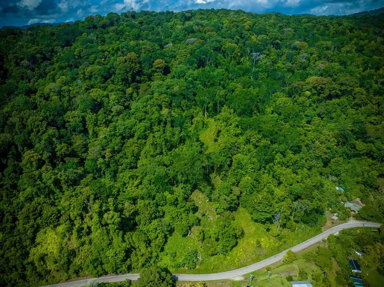 Rincon Mountain Land Gulf View | A Breathtaking Landscapes of Rincon