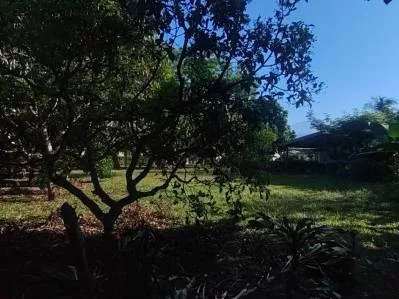 EXCELENTE LOTE DE 1,100 M² EN RESIDENCIAL LOS VIEJOS – PLANO, PRIVADO Y LISTO PARA CONSTRUIR