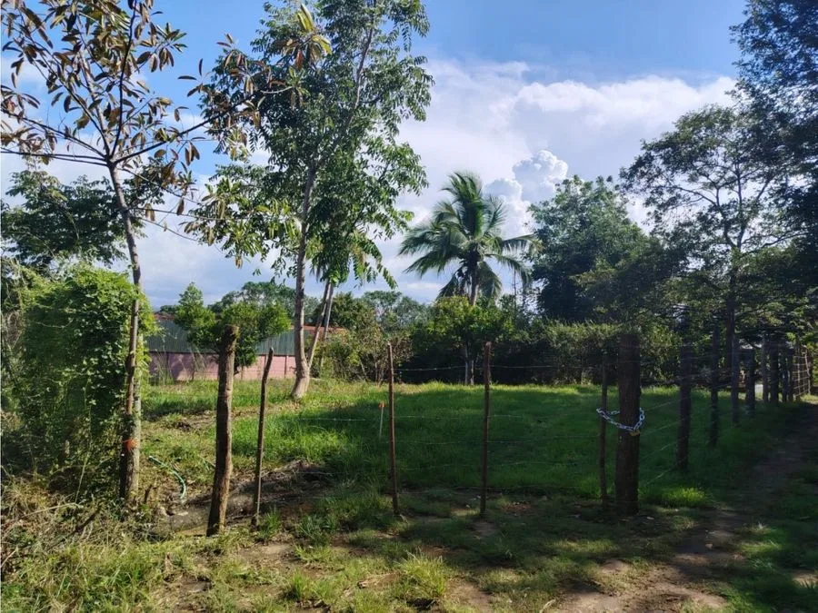 Lote plano de 632 m² para construcción - Concepción, Atenas, photo 2