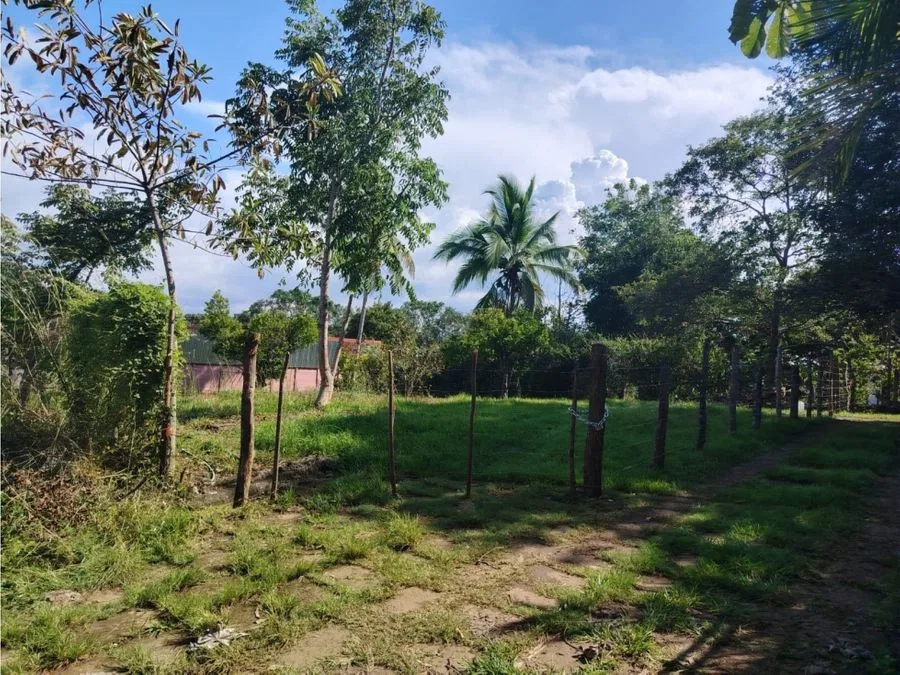 Lote plano de 632 m² para construcción - Concepción, Atenas, photo 3
