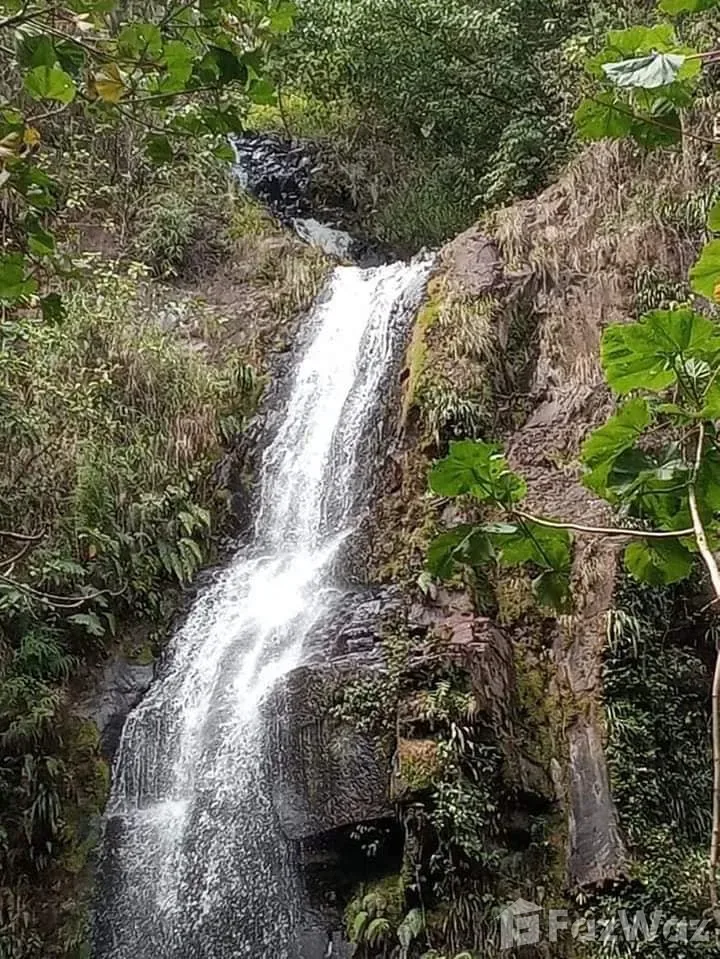 Land for Sale in San Carlos, Alajuela for $284,000