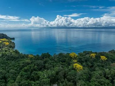 Golfo Dulce: 680 acres de terreno titulado con hotel de lujo