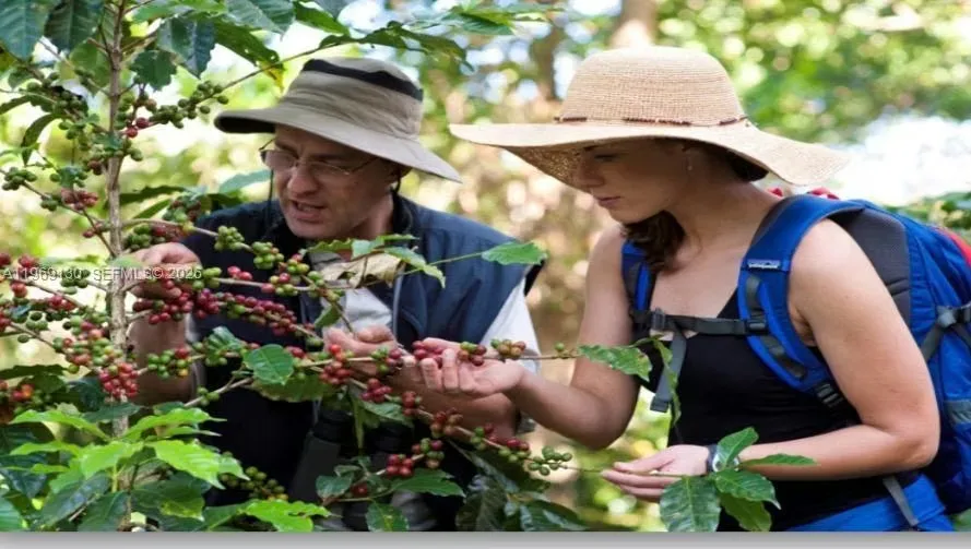 Luxury Boutique Hotel for Sale with Optional Coffee Farm, photo 13