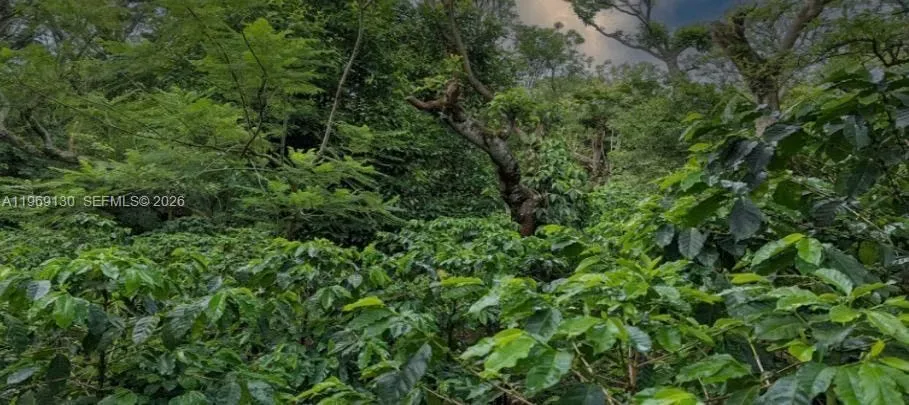 Luxury Boutique Hotel for Sale with Optional Coffee Farm, photo 14