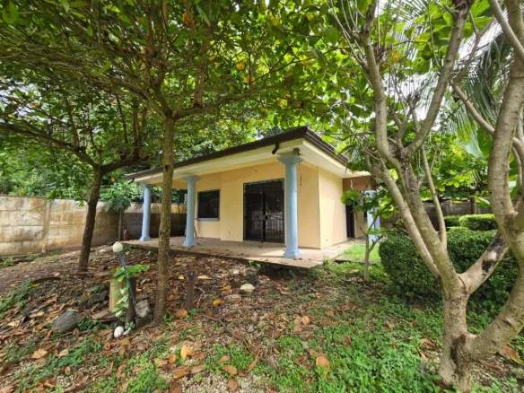 5 Hectares Ocean View Parcel In Potrero, photo 13