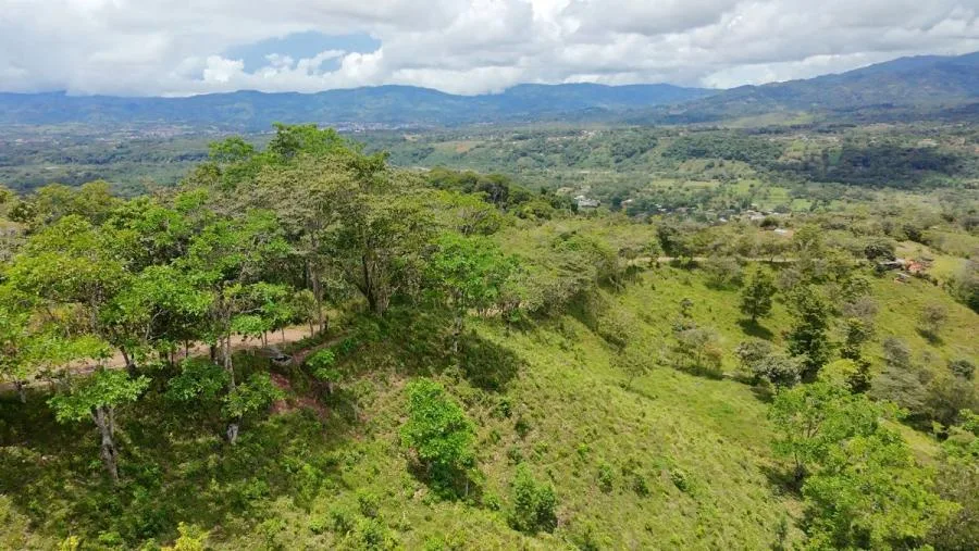 En venta: 3.8 hectáreas en Pérez Zeledón con quebrada, árboles frutales y vistas impresionantes. - Venta en Perez Zeledón, photo 11