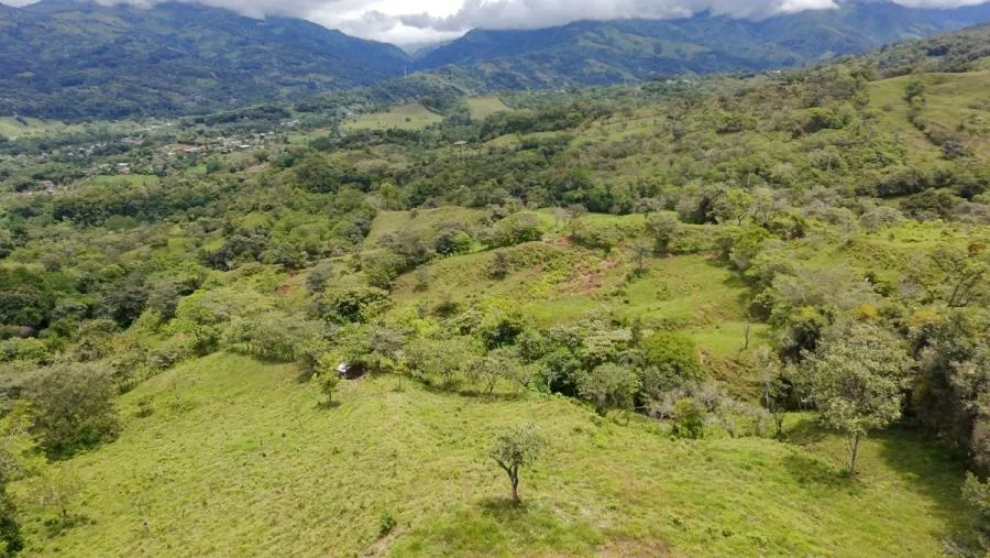En venta: 3.8 hectáreas en Pérez Zeledón con quebrada, árboles frutales y vistas impresionantes. - Venta en Perez Zeledón, photo 7