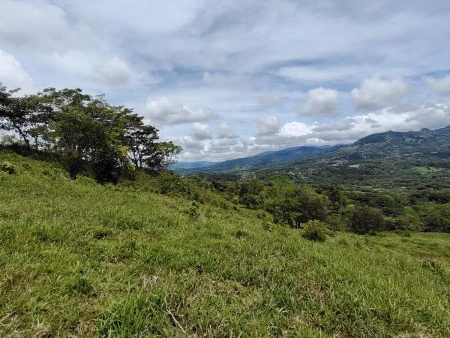 En venta: 3.8 hectáreas en Pérez Zeledón con quebrada, árboles frutales y vistas impresionantes. - Venta en Perez Zeledón, photo 9