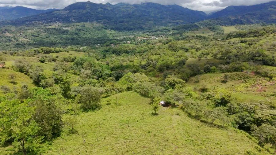 En venta: 3.8 hectáreas en Pérez Zeledón con quebrada, árboles frutales y vistas impresionantes. - Venta en Perez Zeledón, photo 10