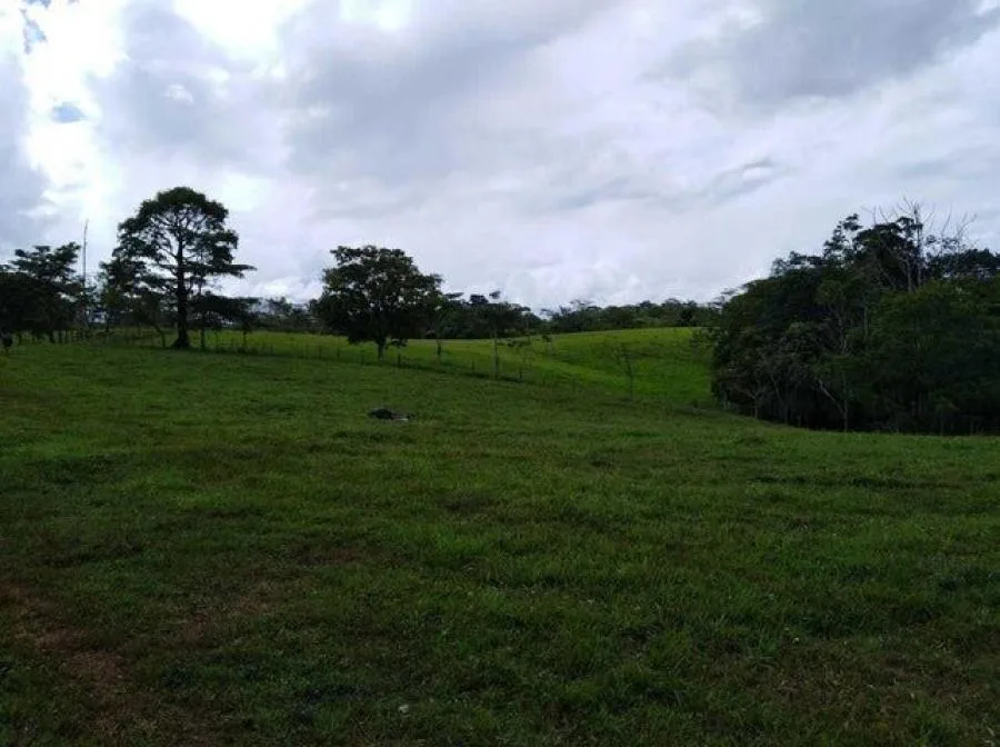 Venta de Finca en Upala, San Carlos. - Venta en San Carlos