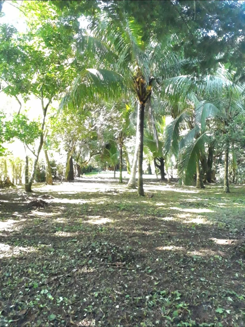 Oportunidad! Se Vende Propiedad de 2541 m²