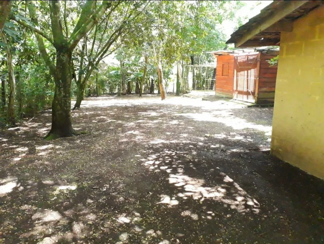 Oportunidad! Se Vende Propiedad de 2541 m², photo 2