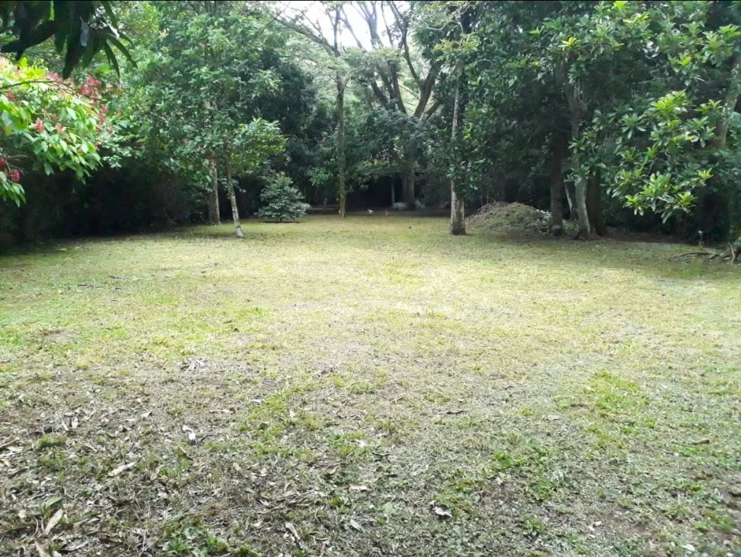 Oportunidad! Se Vende Propiedad de 2541 m², photo 3