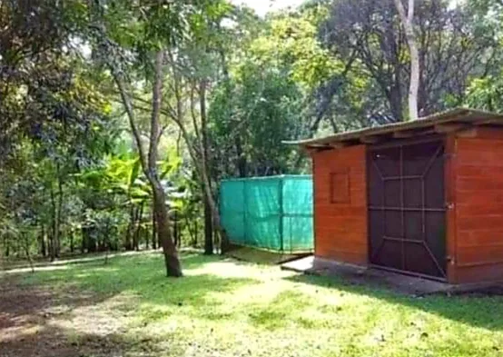 Oportunidad! Se Vende Propiedad de 2541 m², photo 5