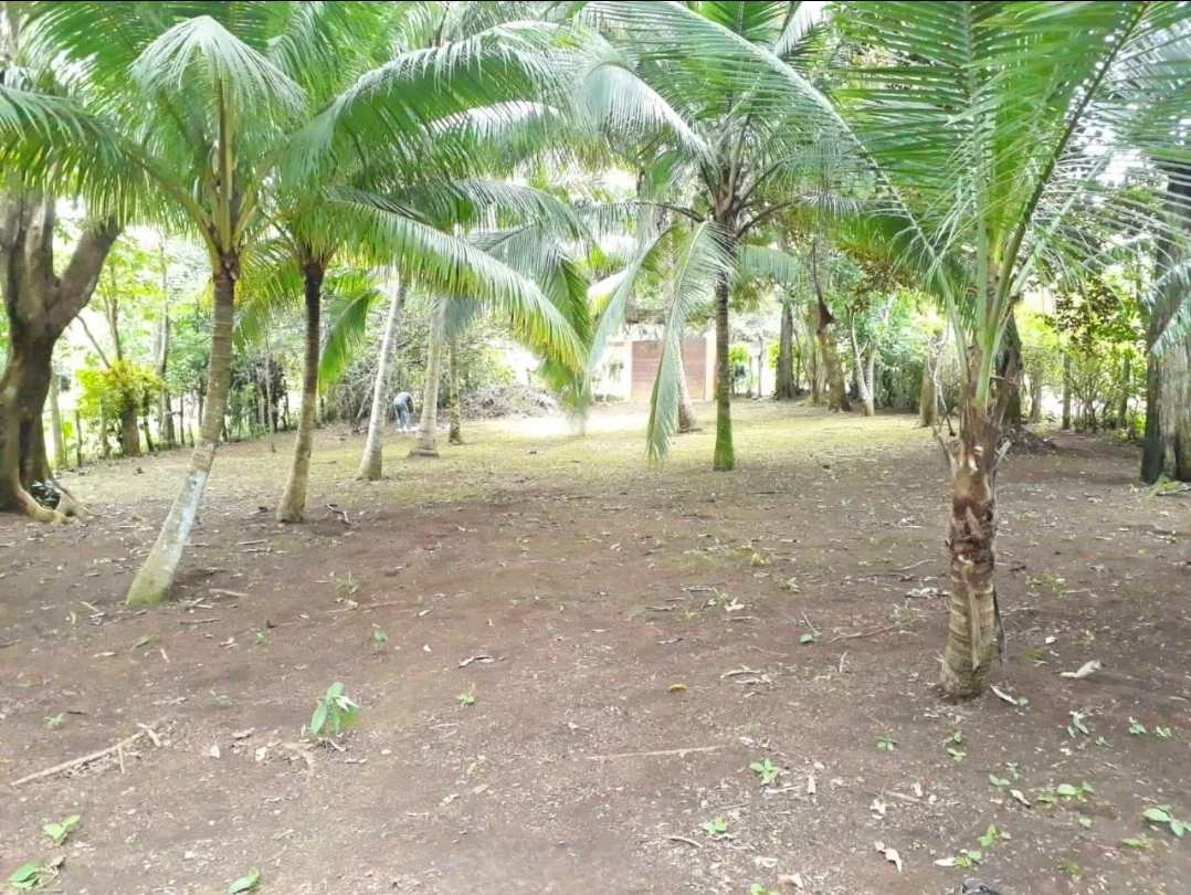 Oportunidad! Se Vende Propiedad de 2541 m², photo 6