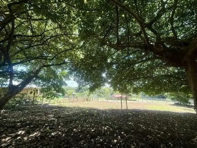 HA Land for Sale in Orotina #26-87