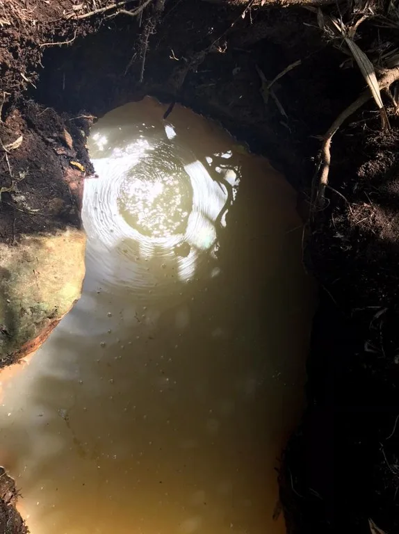 Hot Springs Property for Sale with Two Natural Hot Water Springs, Two Cold Water Creeks, and a Giant 300-Year-Old Tree, photo 8