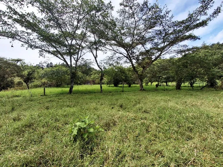Development Parcel in Zarcero