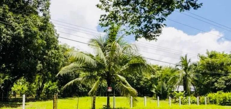 Lot for sale near Playa Coyote Guanacaste Costa Rica, photo 2