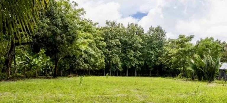 Lot for sale near Playa Coyote Guanacaste Costa Rica, photo 4