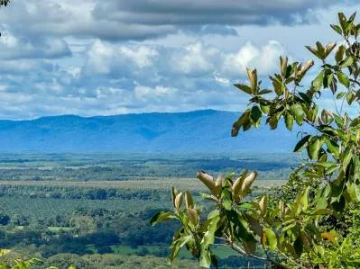Espectacular lote de 9 acres con vista al mar en Costa Rica, photo 2