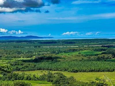 Espectacular lote de 9 acres con vista al mar en Costa Rica, photo 5