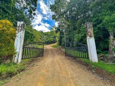 Espectacular lote de 9 acres con vista al mar en Costa Rica, photo 7