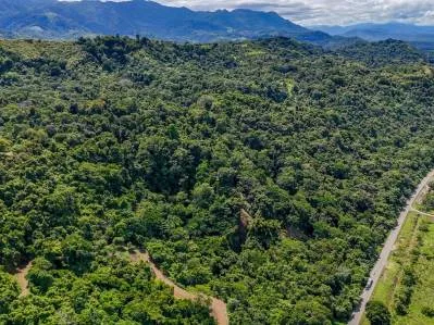 Espectacular lote de 9 acres con vista al mar en Costa Rica, photo 8