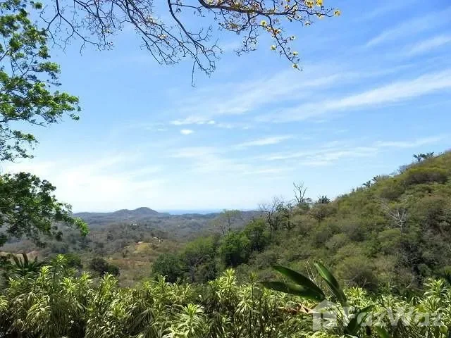 2 Bedroom House for Sale in Nicoya, Guanacaste for $529,000, photo 3