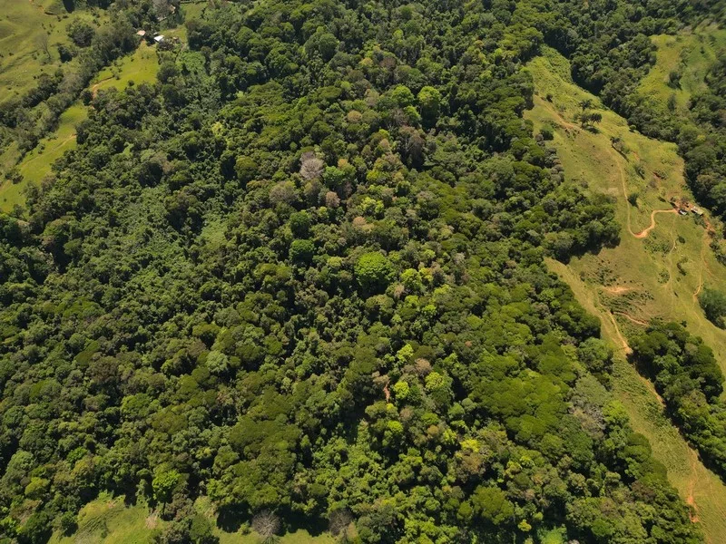 Land For Sale in Dominical, photo 2