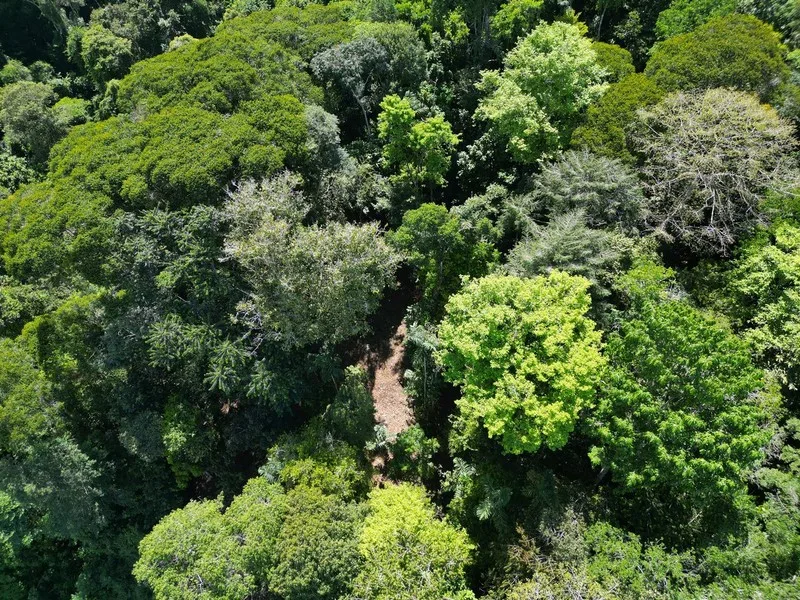 Land For Sale in Dominical, photo 11