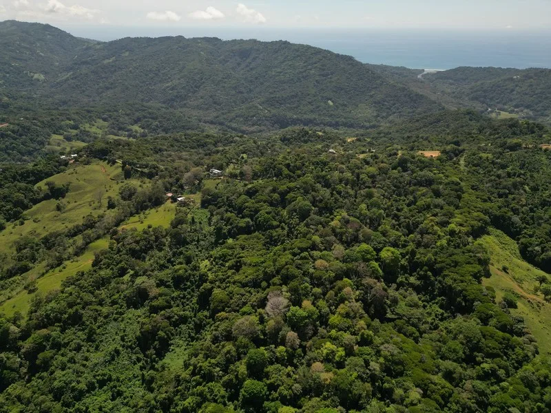 Land For Sale in Dominical, photo 12