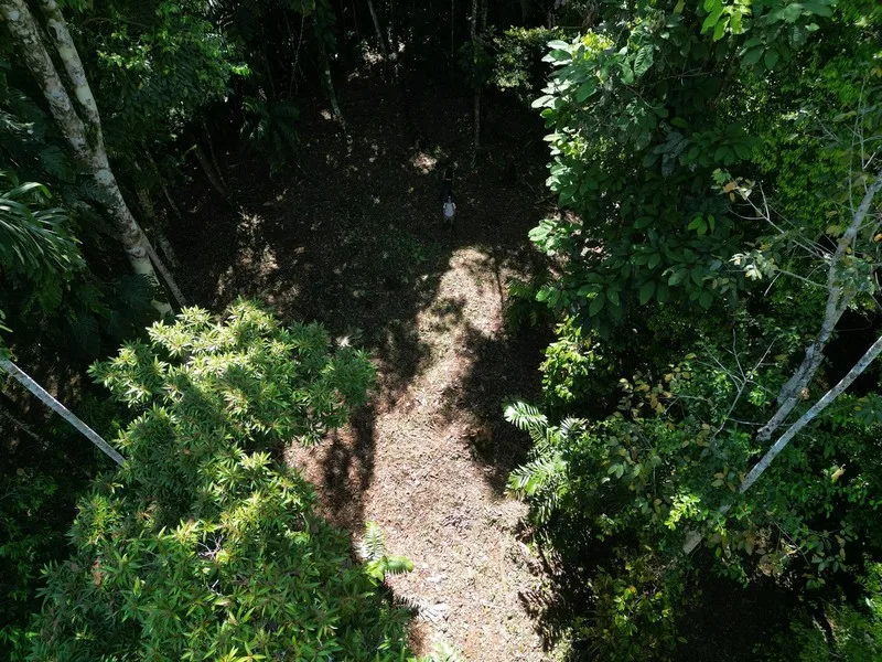 Land For Sale in Dominical, photo 13
