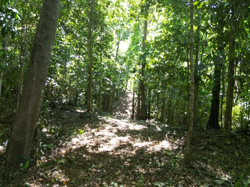 Land For Sale in Dominical, photo 14
