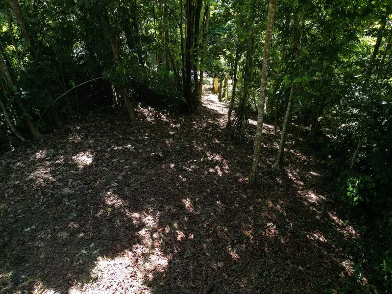 Land For Sale in Dominical, photo 15