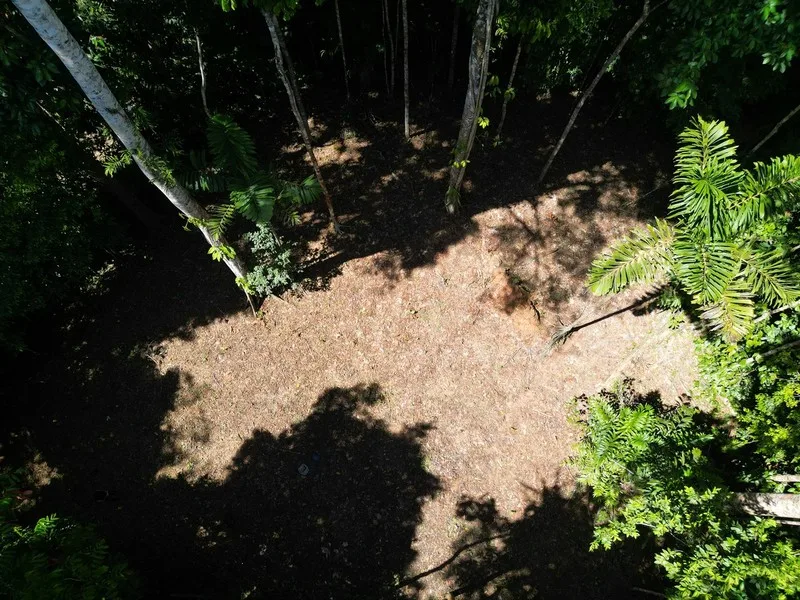 Land For Sale in Dominical, photo 5