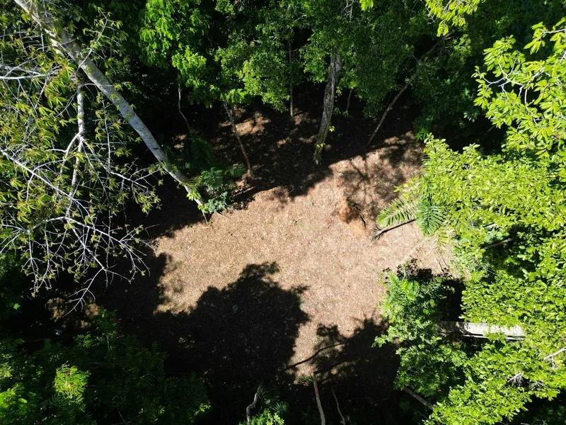 Land For Sale in Dominical, photo 6