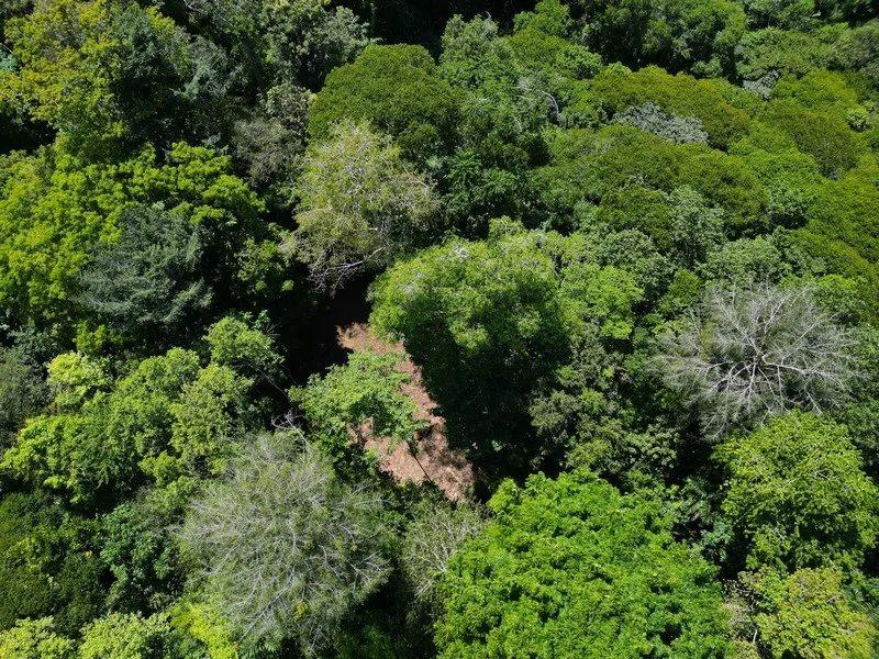 Land For Sale in Dominical, photo 7