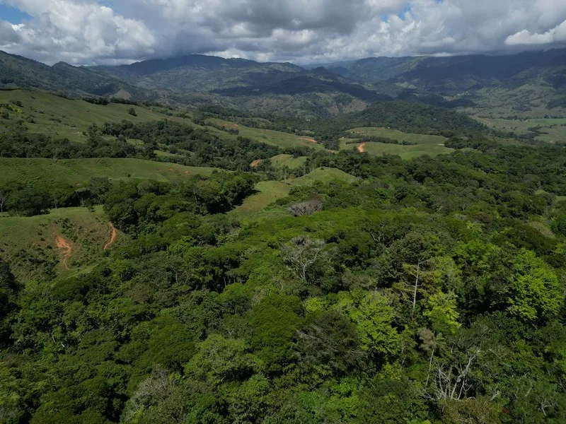 Land For Sale in Dominical, photo 9