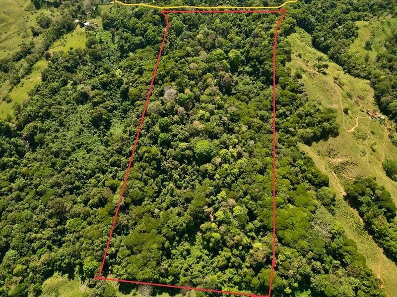 Land For Sale in Dominical, photo 10