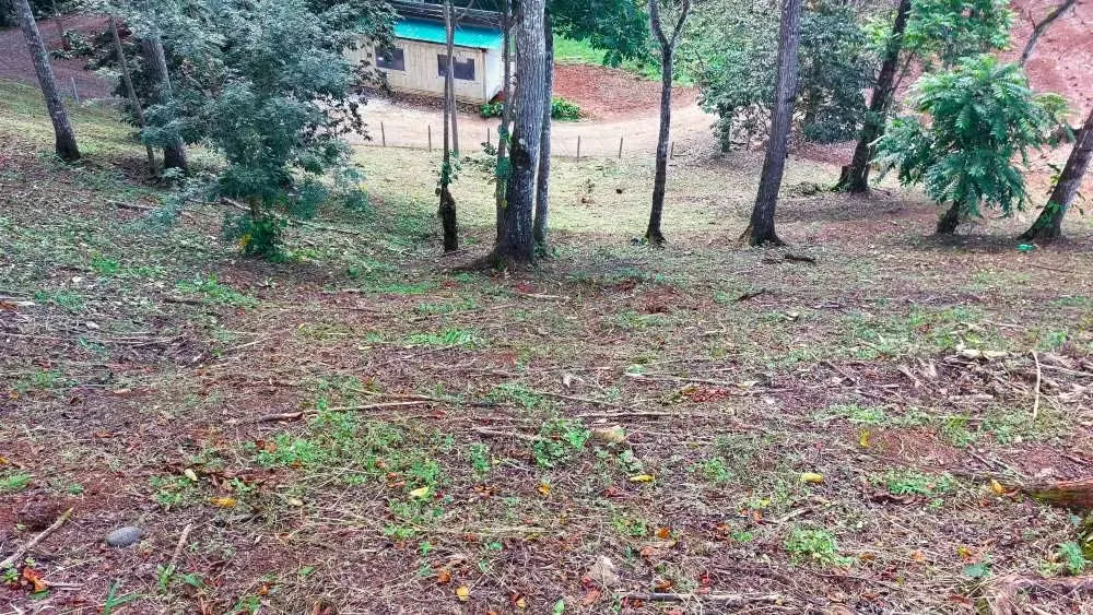 LOTE CEDROS is a gorgeous 6,227m² (1.54acres) ready-to-build residential lot surrounded by Nature in Altos Los Cafetales in Puriscal. It has a water-meter installed, electricity, ..., photo 2